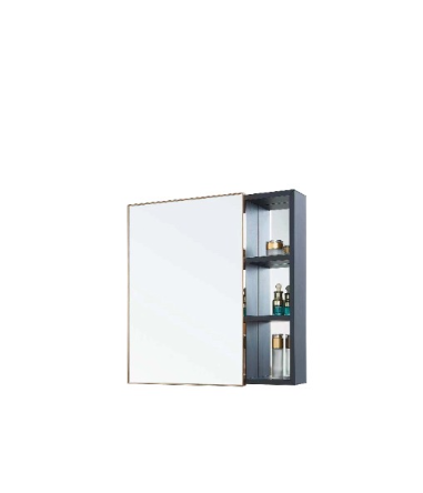 FIDELIS FML-660603-RG MIRROR CABINET