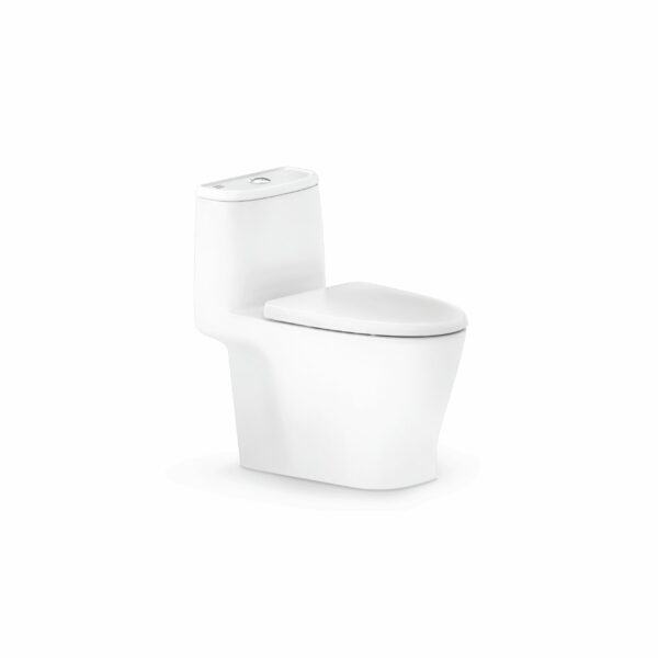 AMERICAN STANDARD CCAS1862-1320411S0 LOVEN ONE-PIECE CONCEALED